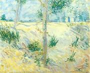 Vincent Van Gogh Trees on a slope oil painting reproduction